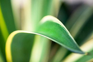 《遗迹2》今年夏季推出 牵犬师职业公布